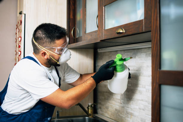Best Pest Control for Businesses  in Elsa, TX