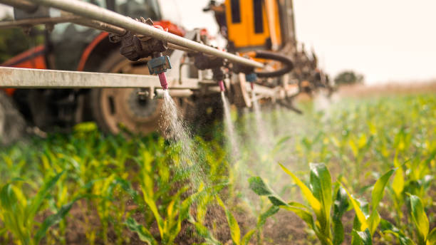 Best Commercial Pest Control Services  in Elsa, TX